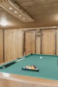 Магия леса - 53