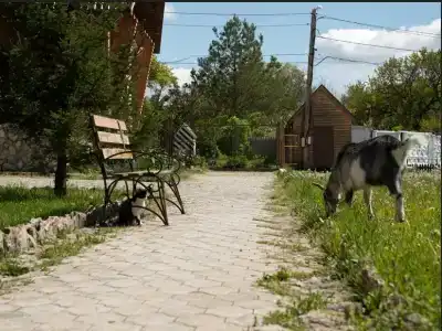 Хуторок - 46