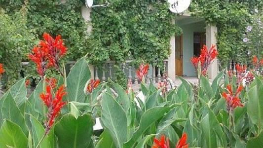 Green House - 7