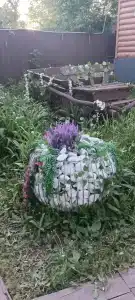Дружба - 14