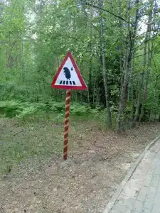 Отрада - 11