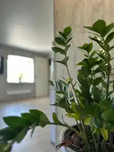 Вернисаж - 10