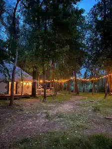 Юрта-парк на острове - 82