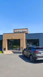 Родина Аэро - 33