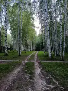 Ветлуга - 20