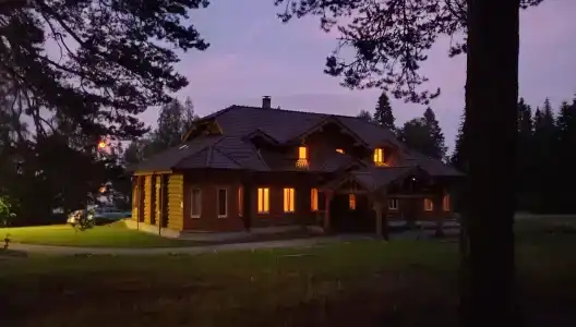 Чайка - 35