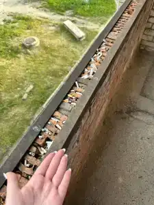 Маршал Петрозаводск - 5