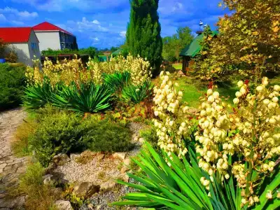 Жемчужина - 39