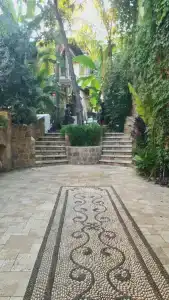 Tuvana - 21