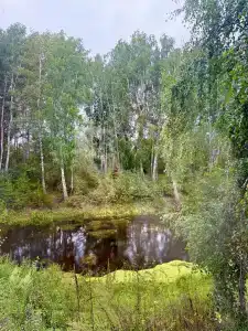Мотель - 5