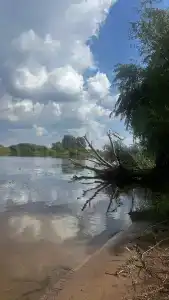 Берега - 32