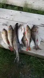 Карельская сказка - 33