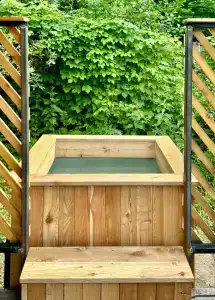 Баглачевские дачи - 41