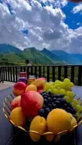 Balkaria House - 6