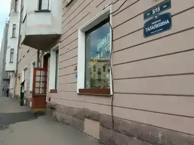 Абрикосовое дерево на Петроградской стороне - 1