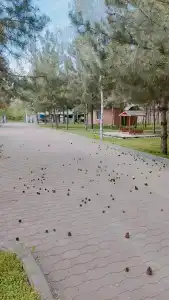 4 Сезона - 5