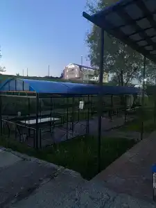 У Альберта - 36