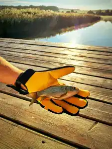 Лаки Лейк - 54