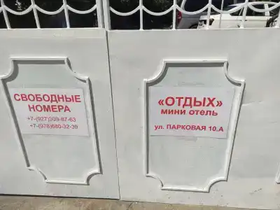 Инжир - 17