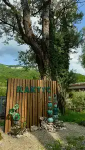 Кактус Арт - 2