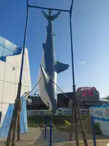 Отдых в Ейске - 10