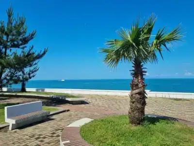 Chill Out - 1