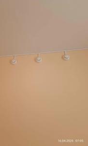 Ласточкино гнездо - 25