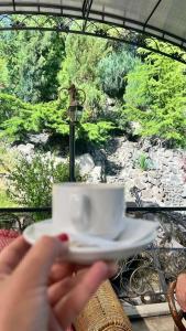 Park Avenue Yerevan - 48