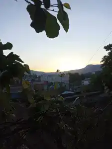 На ладони - 49