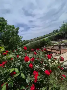 Рыбасик - 6