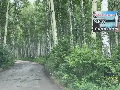 New Горизонт - 3