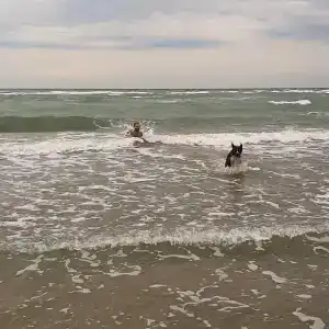 Солнечный пляж - 19