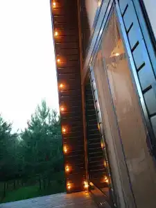 Forest camp - 11