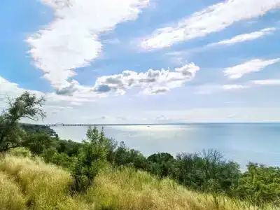 Мечта Тея - 55