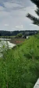 Сабурово - 40