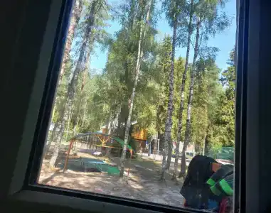 Сосновый бор - 5