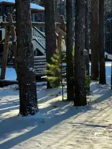 Медведчикова - 30