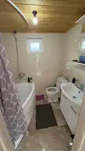 Пение птиц - 60