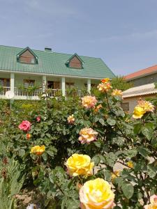 Green House - 21