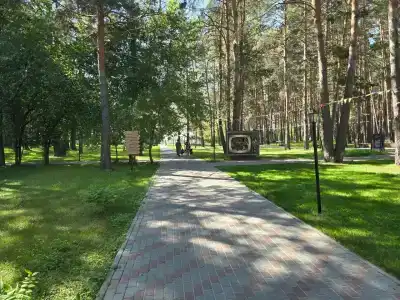 Тайга - 30