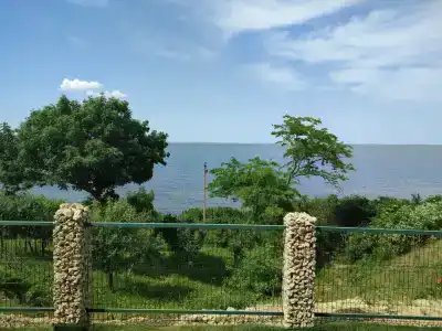 Экзотик Эльвар - 12