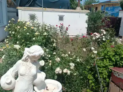 Александра - 7