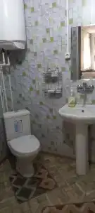 Снежный Барс - 65