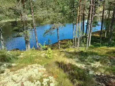 Эксклюзив Тур - 36
