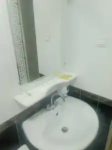 Тюльпан - 3