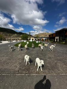 Главрыба - 70