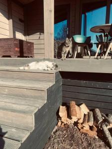 Карельские Лага - 28