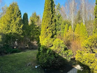 загородный с бассейном и сауной - 17