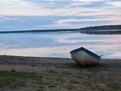 Стёпаново - 35