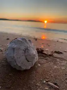 Амбассадор - 75